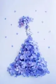 ルル