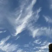 ℳの画像