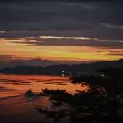 こたの画像