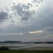 【ゲリラ値下げあり】ぽむ