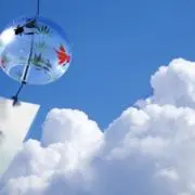 ひまわり