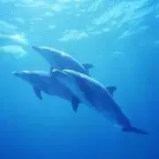 あーちん