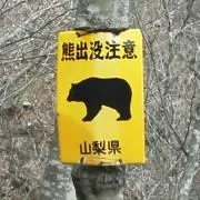 きりんとこあらの画像