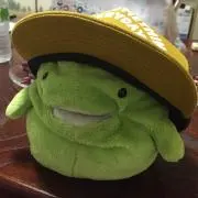 つたぽの画像