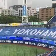 ベイの画像
