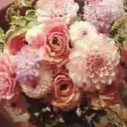 may⭐️引越し整理中の画像