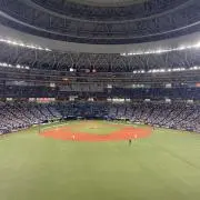ぴの画像