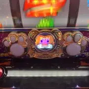 トラッピの画像