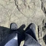 穣の画像