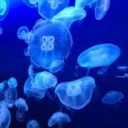 うみ【超市期間は宅急便おまとめ大歓迎！】の画像