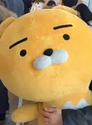 ヤマの画像