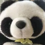 まっちゃんの画像