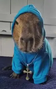 セーニャの画像