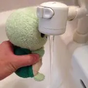 かめきち