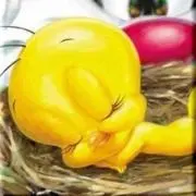 mainの画像