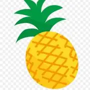 pineの画像