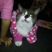 ももりゅー