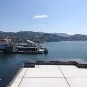 赤しゃちの画像