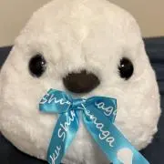 ライト✩.*˚の画像
