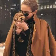 Yの画像