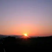 ★テトラ★の画像