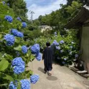 たけの画像