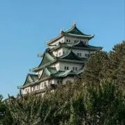 まな