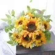 sunflowerの画像