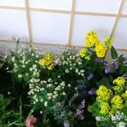 ひろこ☆★☆の画像