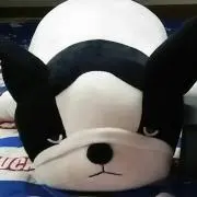 しー