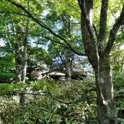 おゆの画像