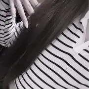 みいたんの画像