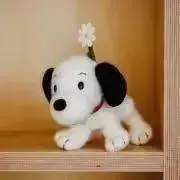 もも♡プロフ必読♡の画像