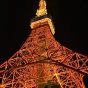 やまの画像