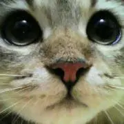 さななん