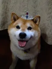keiの画像