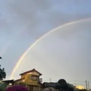 あこさんの画像