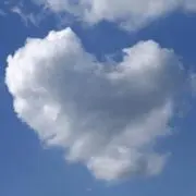 sumireの画像