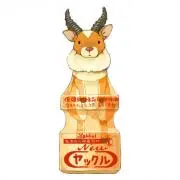 乳酸菌