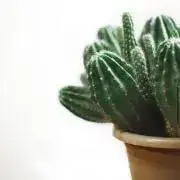 まりなの画像