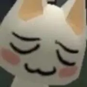 にゃらの画像