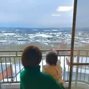 yellowの画像