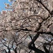 m_on