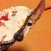 ゆっきの画像