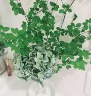 クラリサ プロフ見て頂けると^ - ^