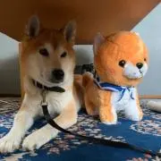 リー坊