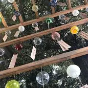 hirakuの画像