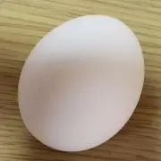 きのこ