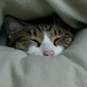 要☆プロフもお読みくださいの画像