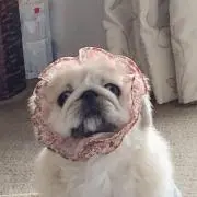 みぽ姫
